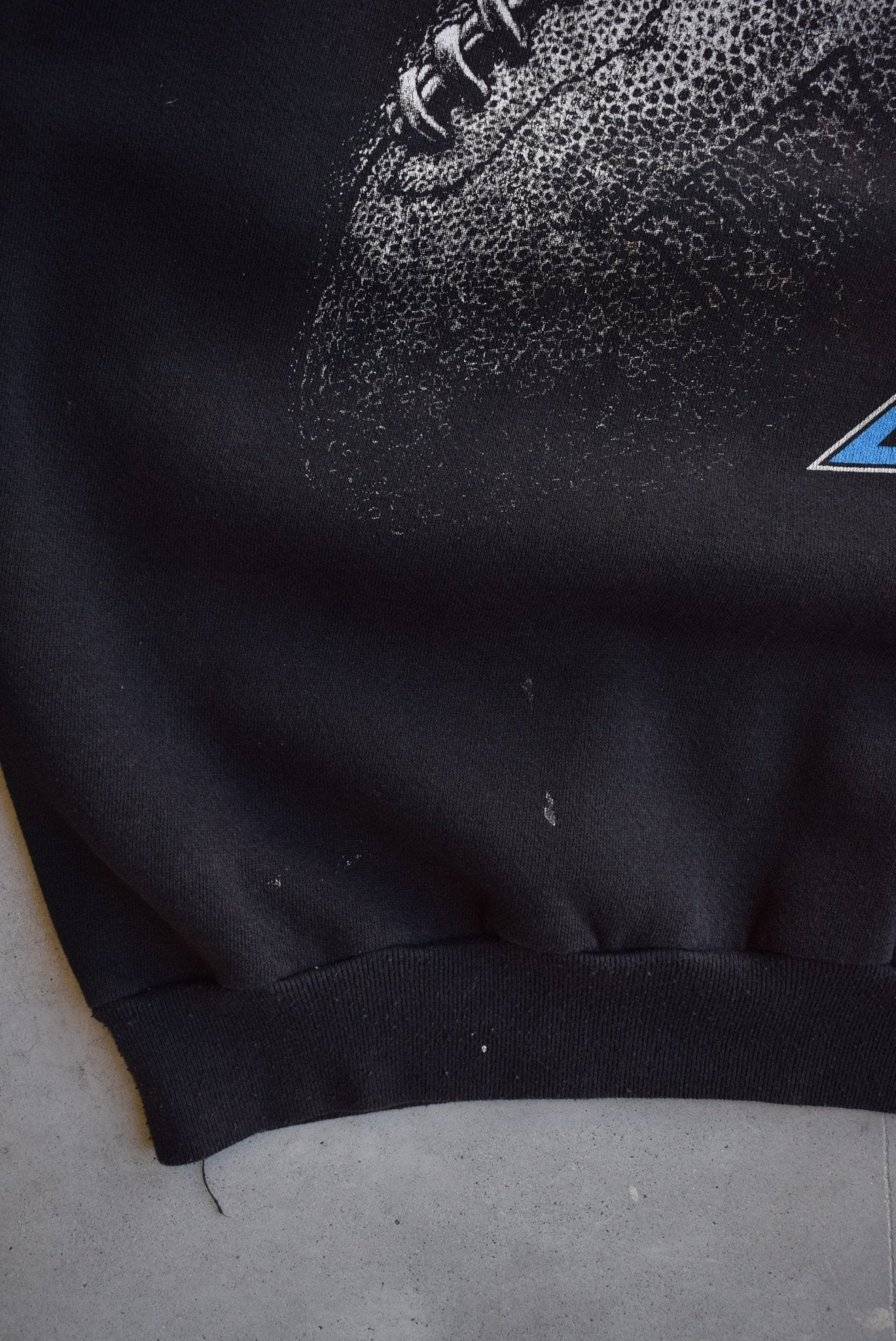 NFL Carolina Panthers Crewneck — 1993 (M) - Retrospective Store