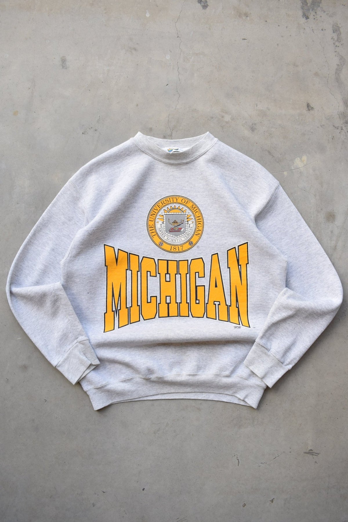 University of Michigan Grey Graphic Crewneck — 1990s (M) - Retrospective Store