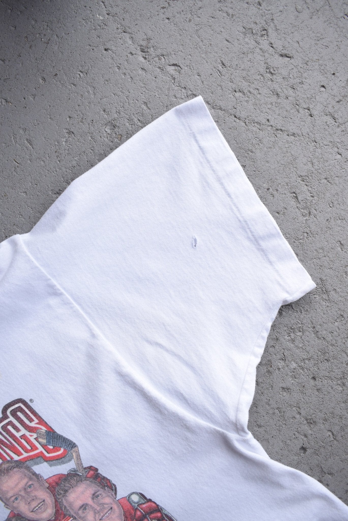 Vintage 1997 Pro - player x NHL Detroit Red Wings Champions Tee (L) - Retrospective Store