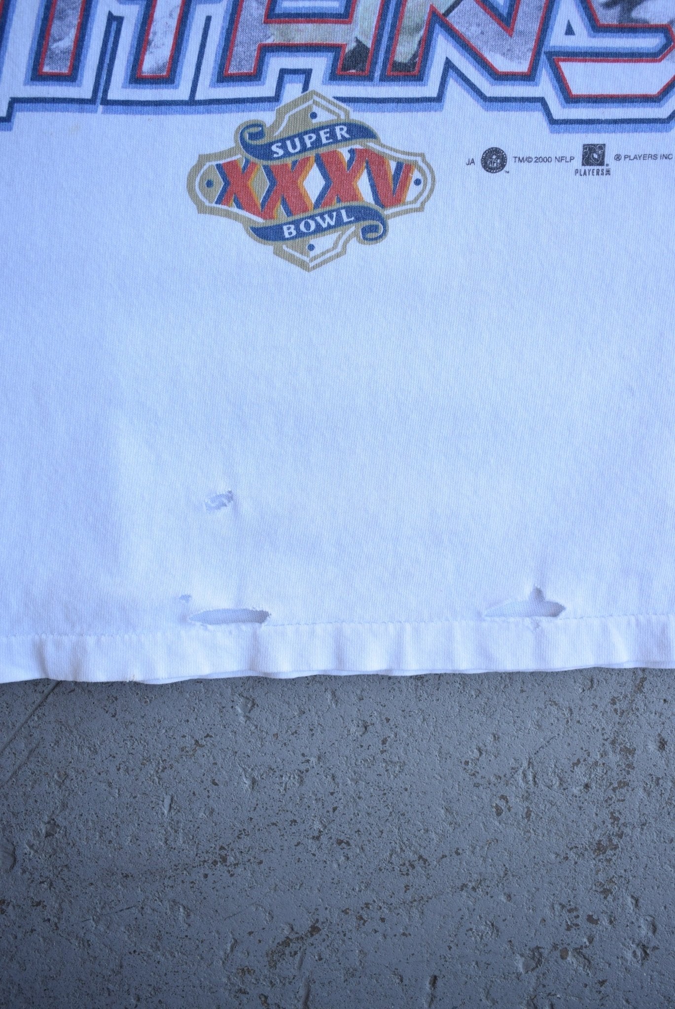 Vintage 2000 NFL Tennessee Titans Long Sleeve Tee (L) - Retrospective Store