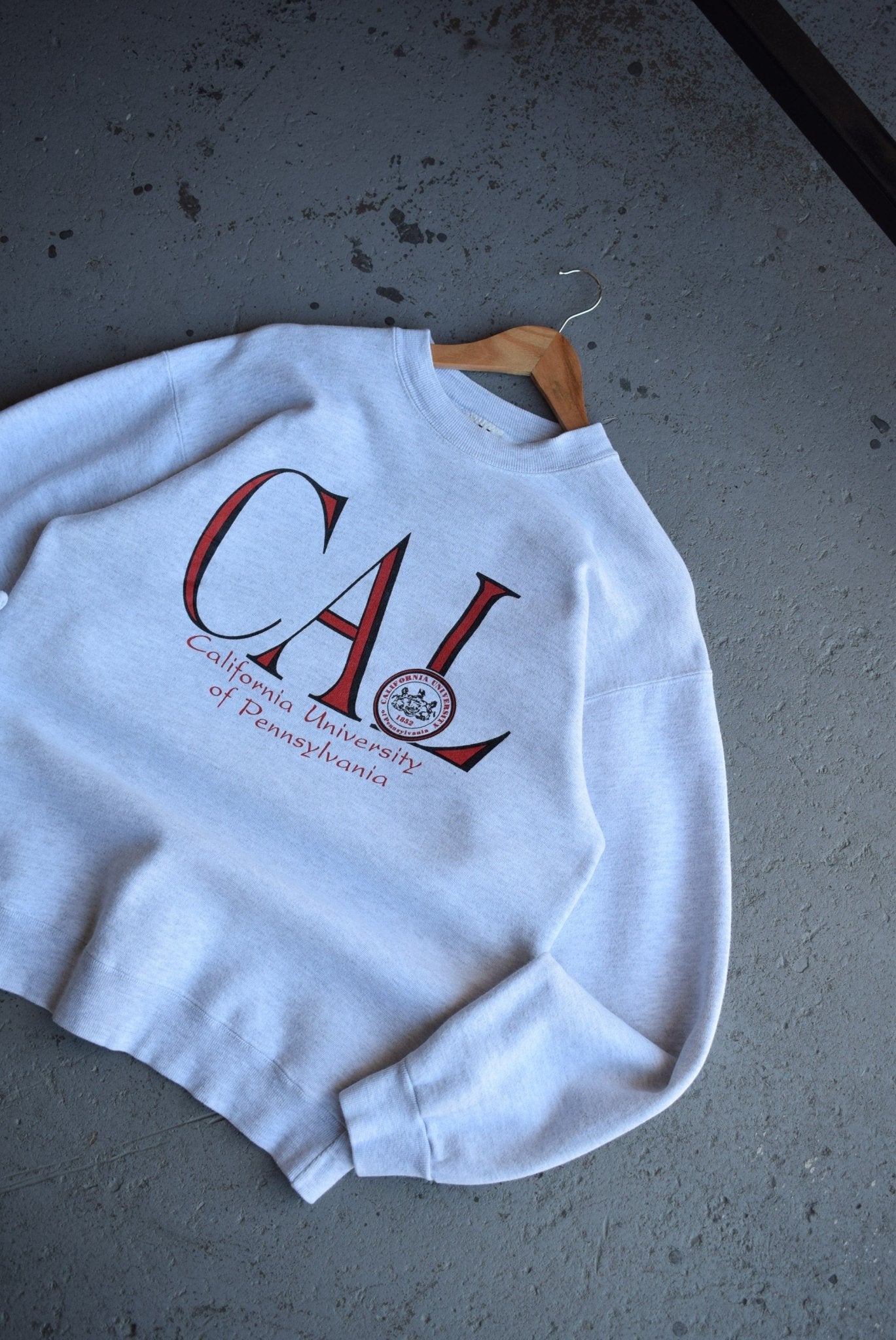 Vintage 90s California University Crewneck (M/L) - Retrospective Store