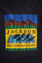 Vintage 90s Jackson Hot Springs Tee (M) - Retrospective Store