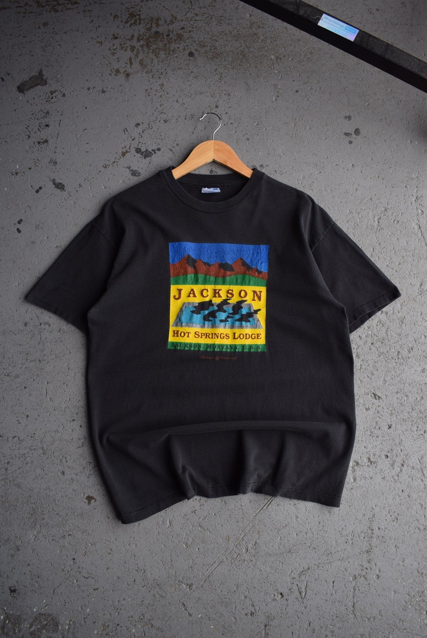 Vintage 90s Jackson Hot Springs Tee (M) - Retrospective Store