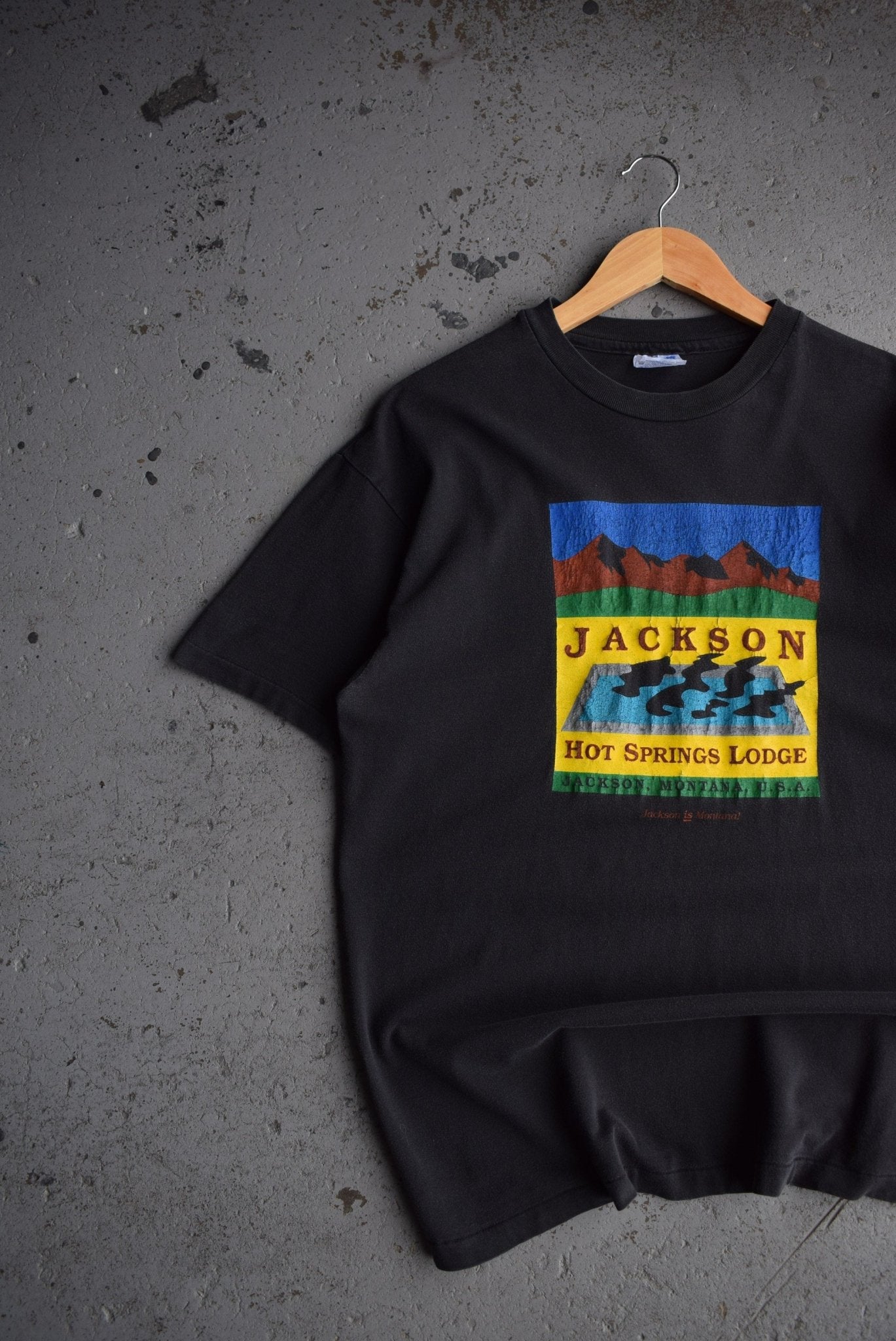 Vintage 90s Jackson Hot Springs Tee (M) - Retrospective Store