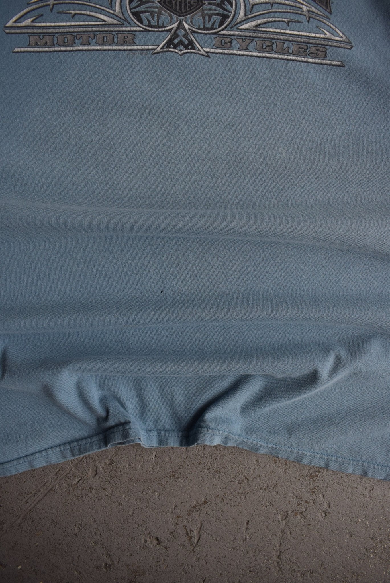 Vintage Harley Davidson 'Swamp Tours' Tee (XXL) - Retrospective Store