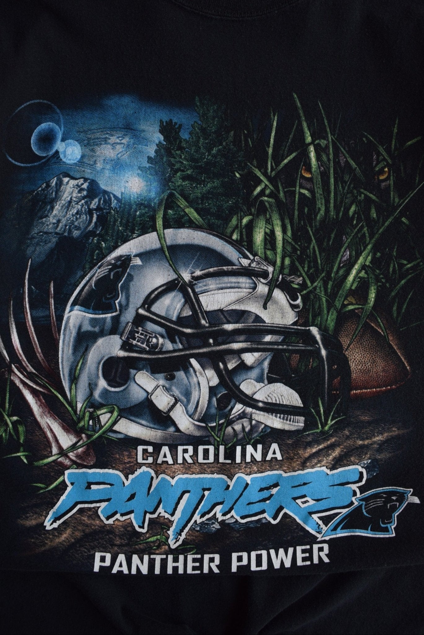 Vintage NFL Carolina Panthers Tee (L) - Retrospective Store