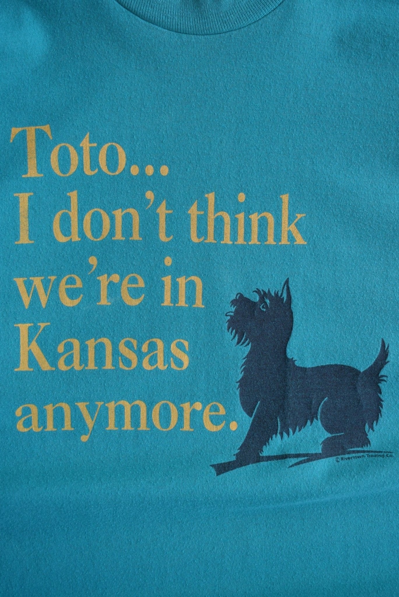 Vintage Wizard of OZ Kansas Tee (M) - Retrospective Store