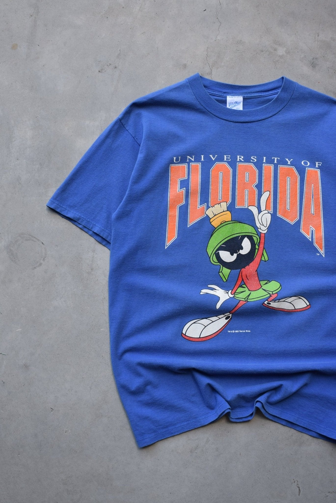 Warner Bros. x University of Florida Blue Graphic Tee — 1993 (M) - Retrospective Store