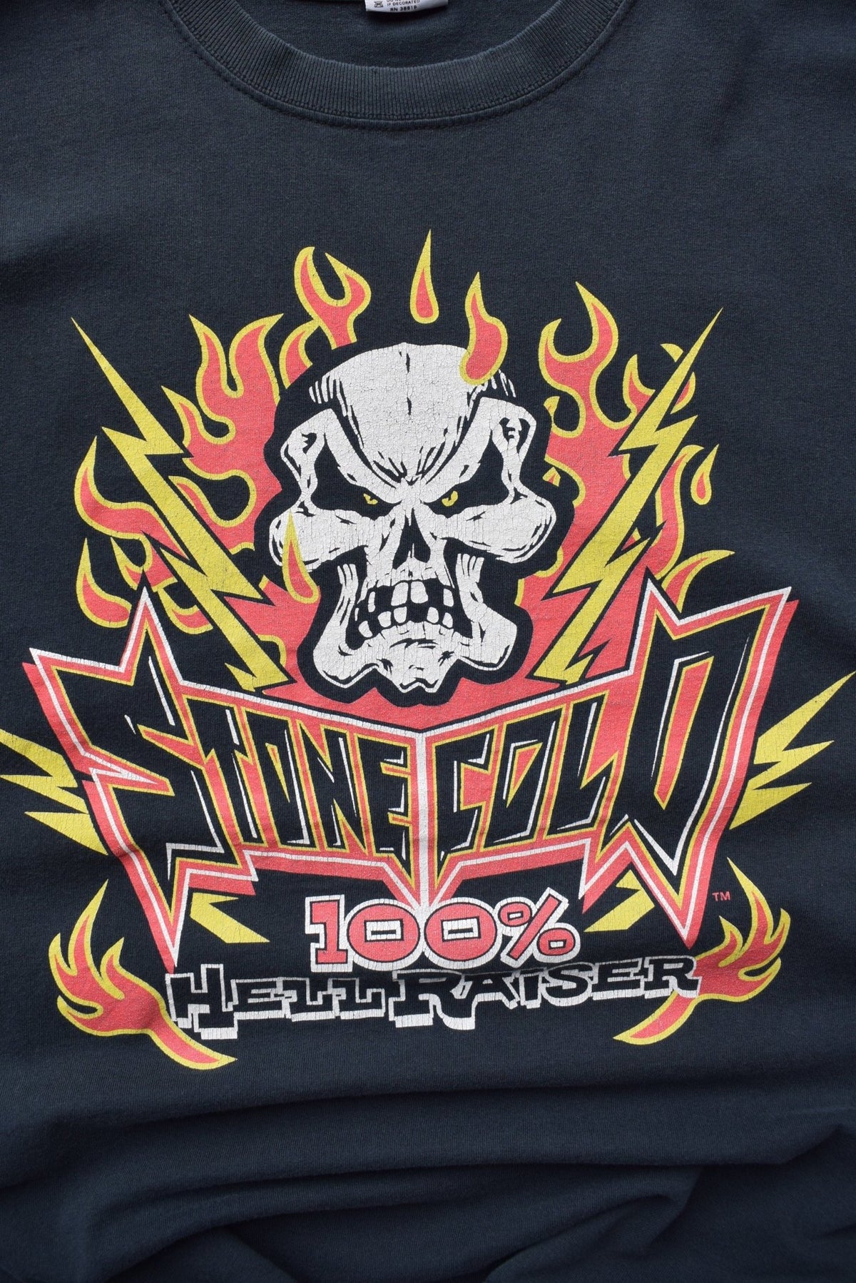WWF Stone Cold Steve Austin '100% Hell Raiser' Black Graphic Tee — 2000 (L/XL) - Retrospective Store
