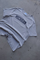 Champion x University of Michigan Grey Spellout Tee — 1990s (XXL) - Retrospective Store