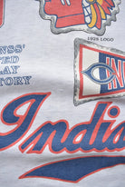 MLB Cleveland Indians World Series Champions Grey Graphic Tee — 1991 (M/L) - Retrospective Store