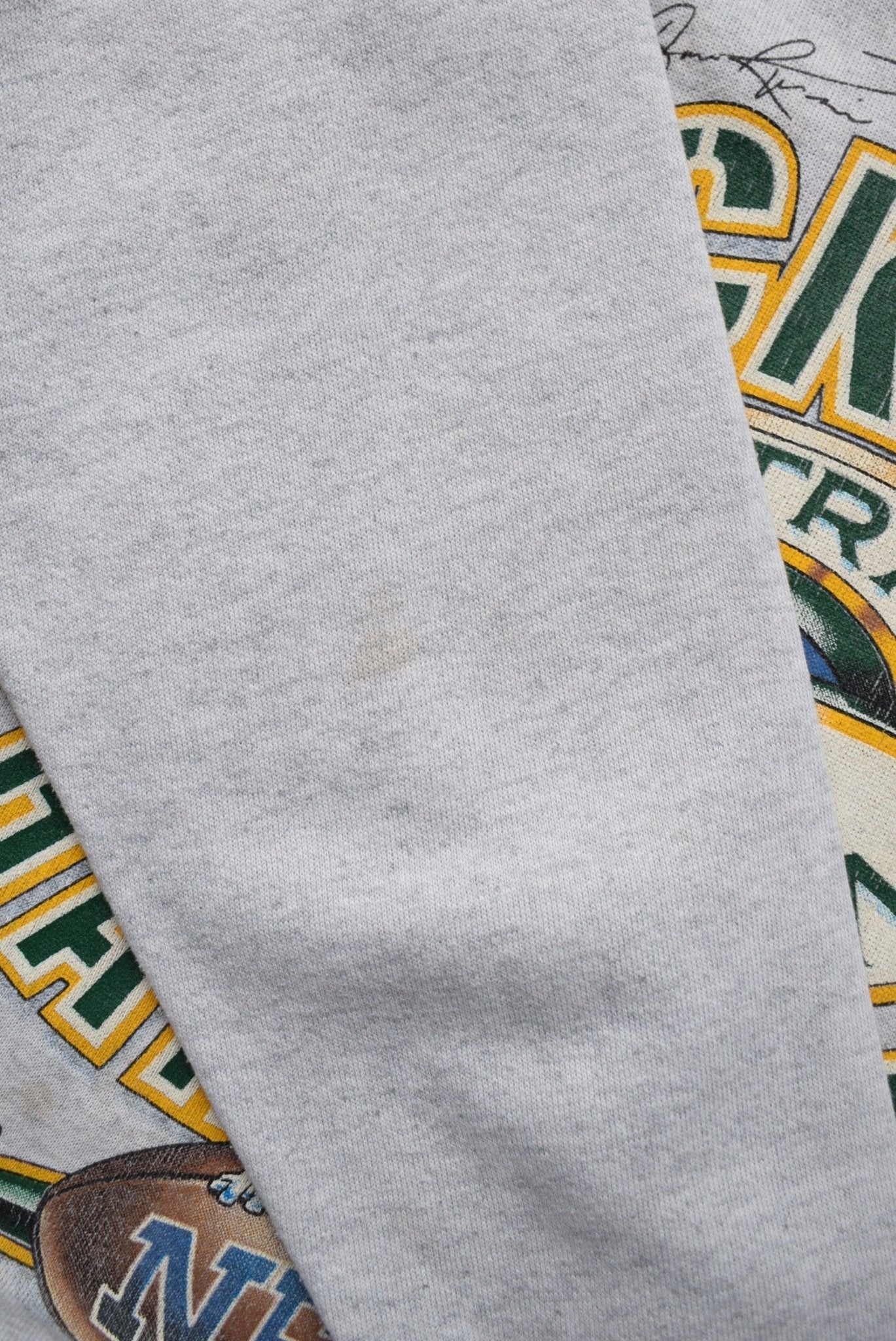 NFL Green Bay Packers Champions Grey Graphic Crewneck — 1996 (S/M) - Retrospective Store