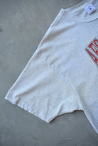 NFL New England Patriots Superbowl XXXI Grey Graphic Tee — 1996 (XL) - Retrospective Store