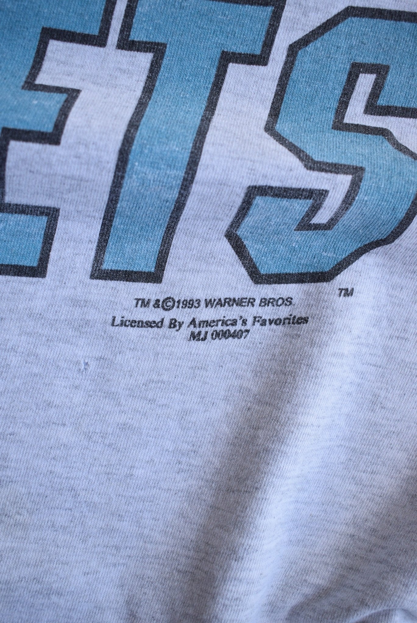 *Rare* Vintage 1993 Warner Bros. x NBA Charlotte Hornets Tee (L) - Retrospective Store