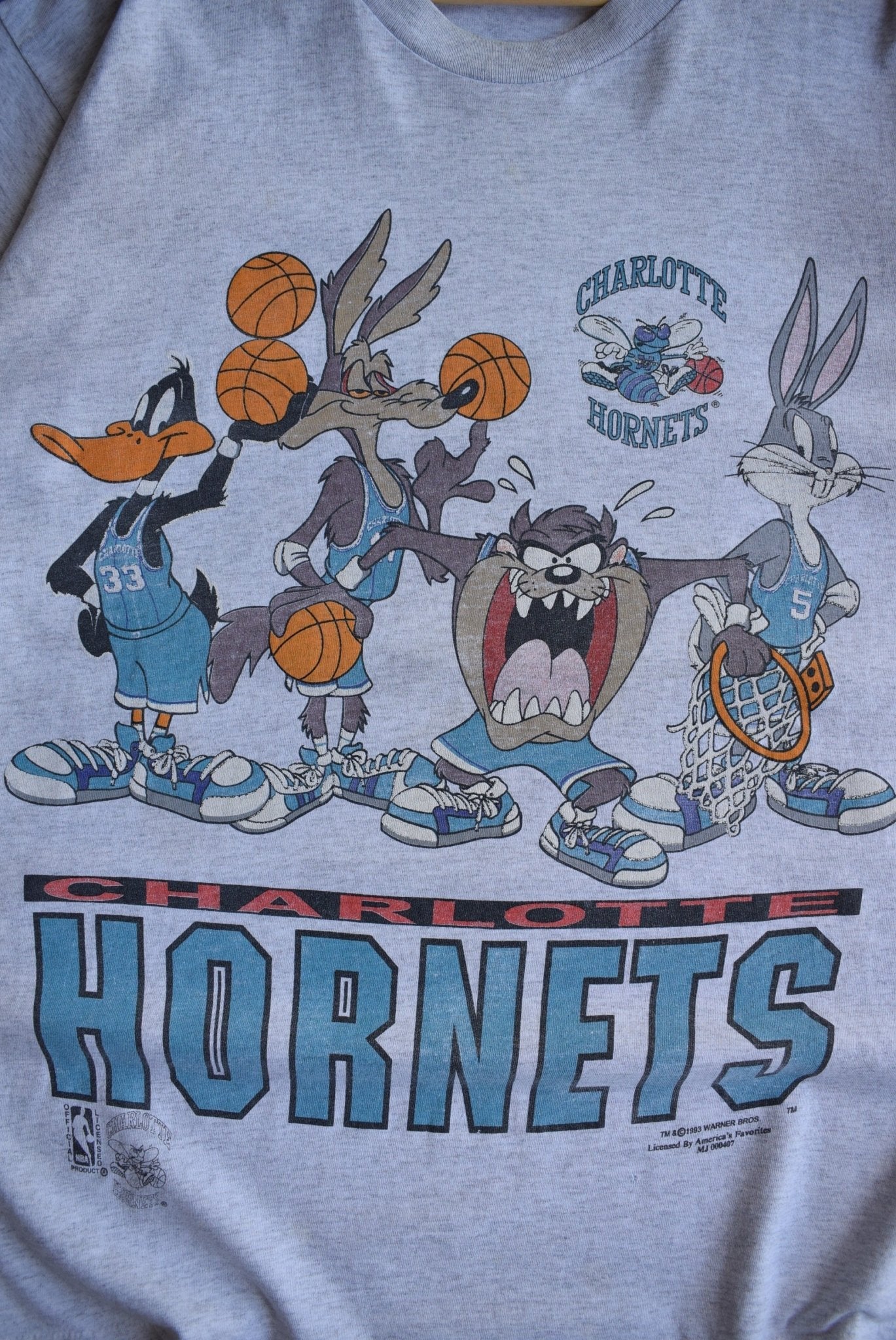 *Rare* Vintage 1993 Warner Bros. x NBA Charlotte Hornets Tee (L) - Retrospective Store