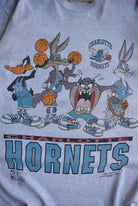 *Rare* Vintage 1993 Warner Bros. x NBA Charlotte Hornets Tee (L) - Retrospective Store