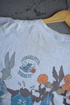 *Rare* Vintage 1993 Warner Bros. x NBA Charlotte Hornets Tee (L) - Retrospective Store