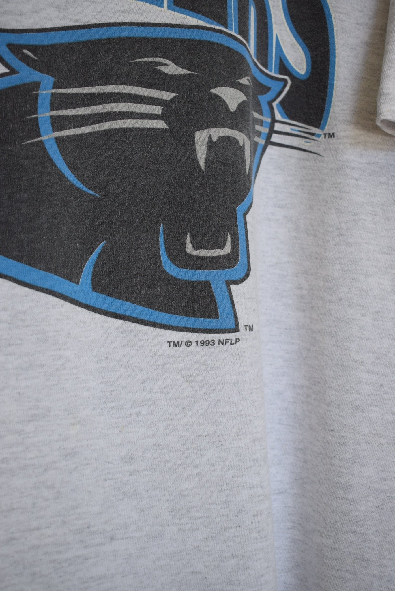 Salem X NFL Carolina Panthers Tee — 1993 (L) - Retrospective Store