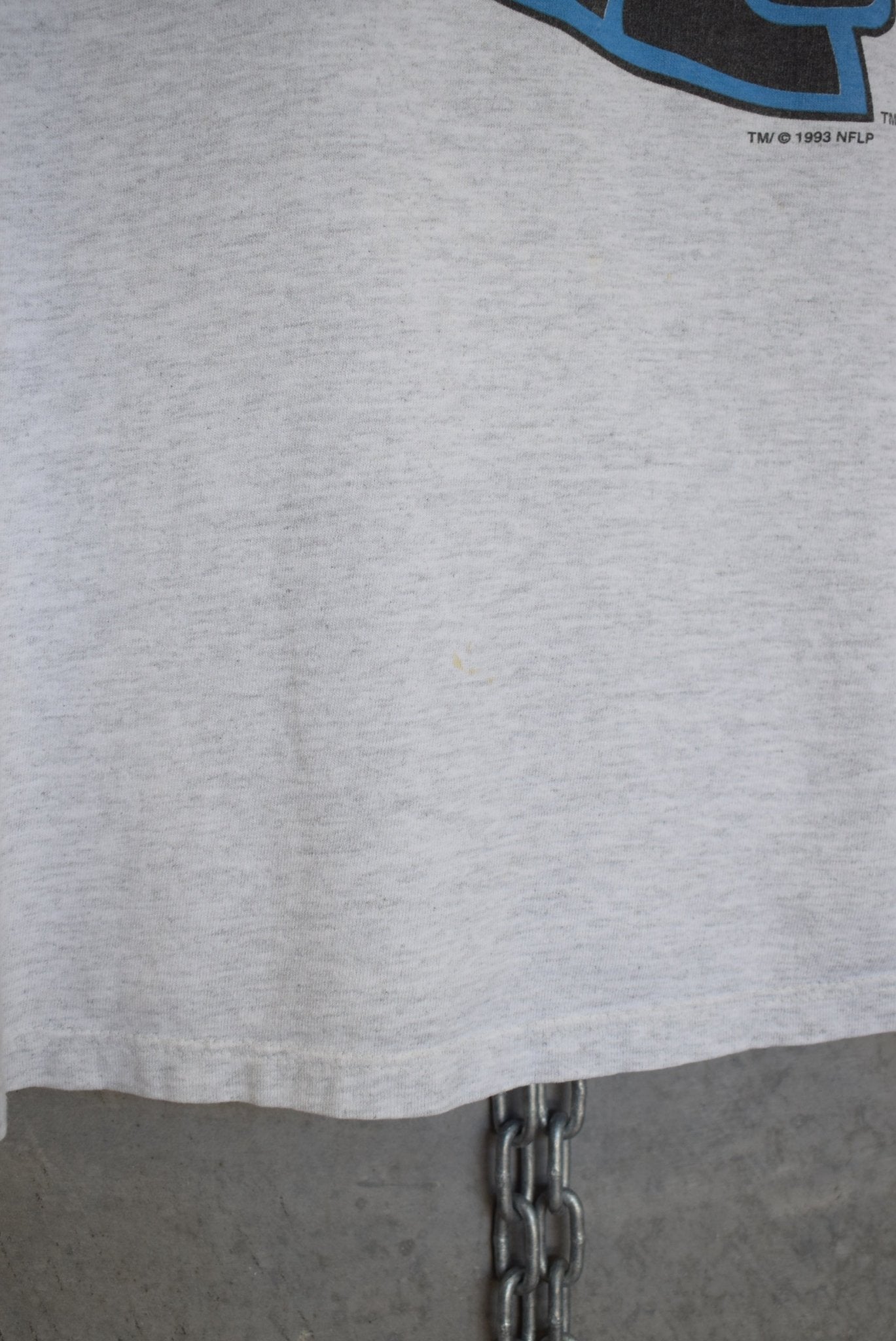 Salem X NFL Carolina Panthers Tee — 1993 (L) - Retrospective Store