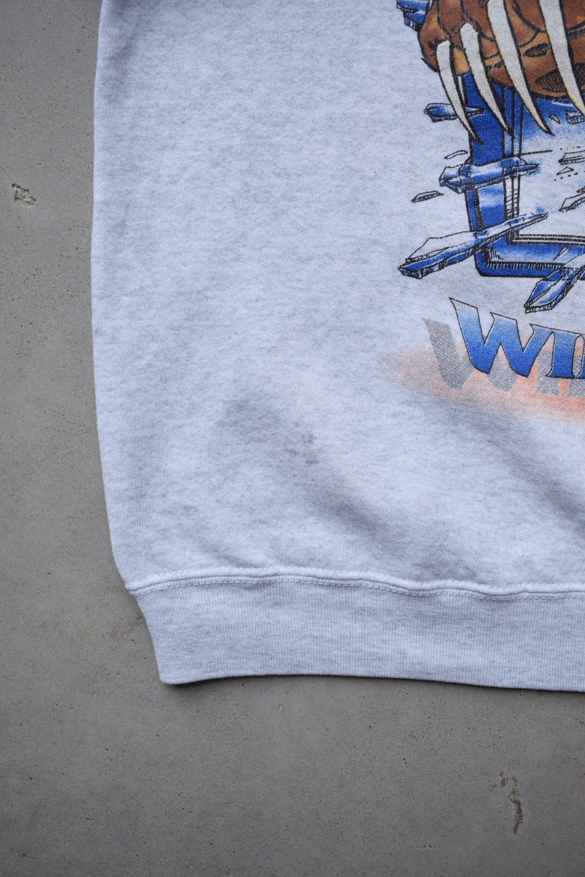 University of Kentucky Wildcats Grey Graphic Crewneck — 1990s (M) - Retrospective Store
