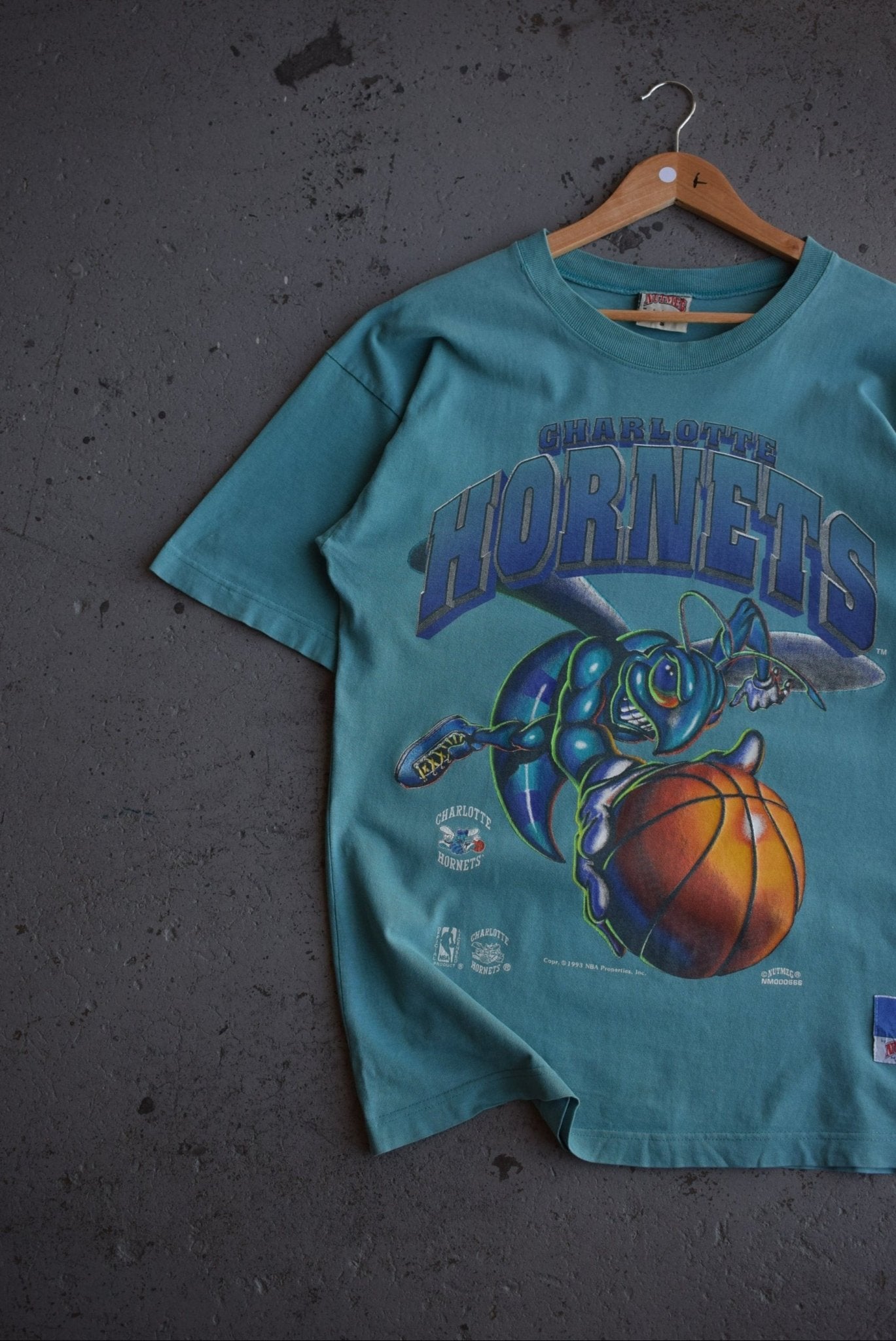 Vintage 1993 NBA Charlotte Hornets Tee (M/L) - Retrospective Store