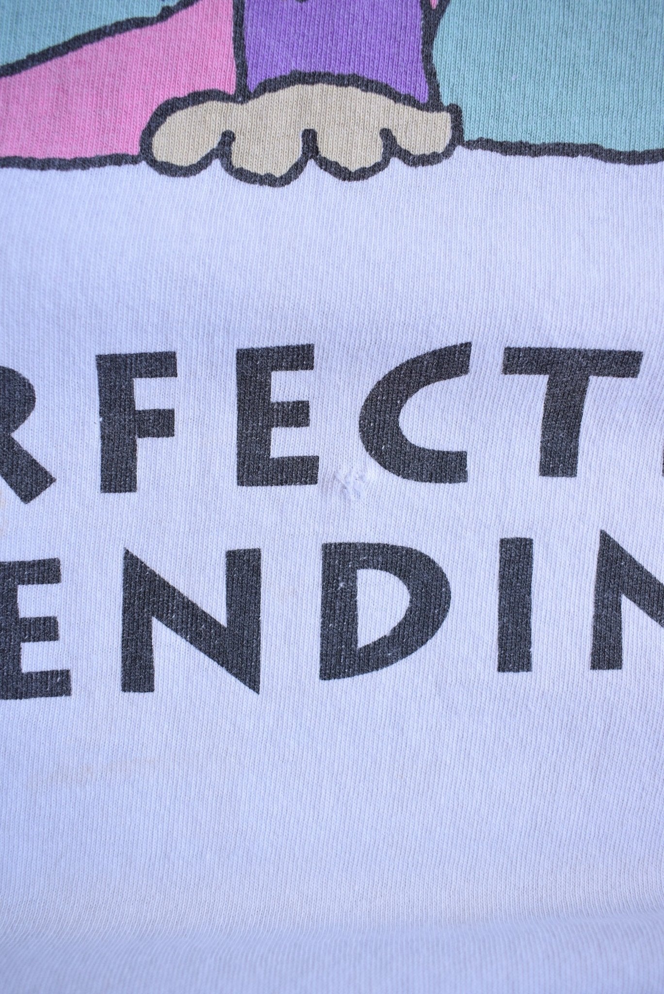 Vintage 1993 Perfection Pending Tee (L/XL) - Retrospective Store