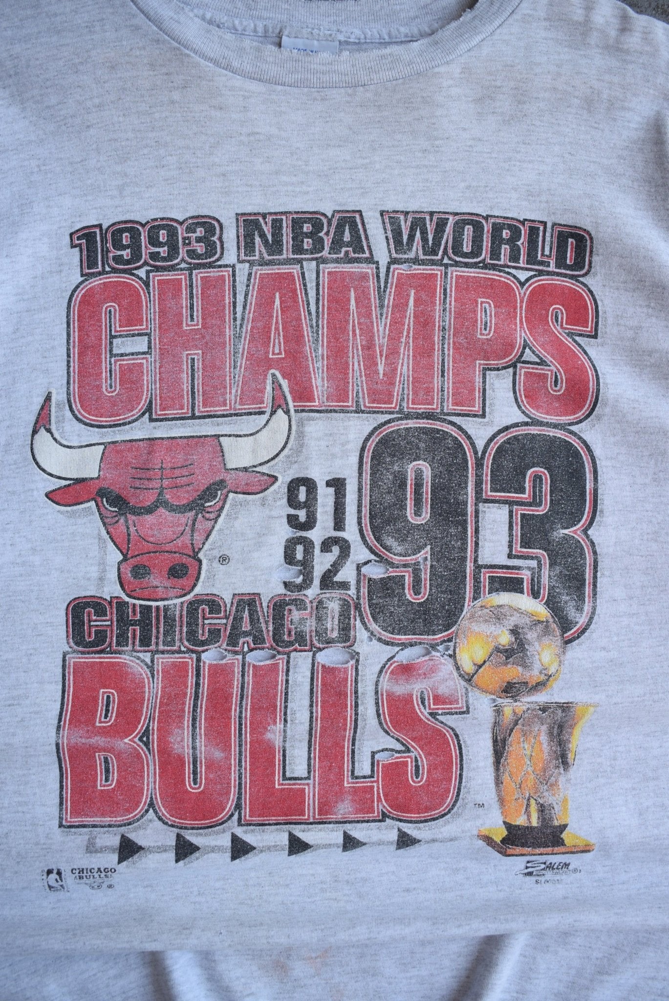 Vintage 1993 Salem x NBA Chicago Bulls World Champions Tee (XL) - Retrospective Store