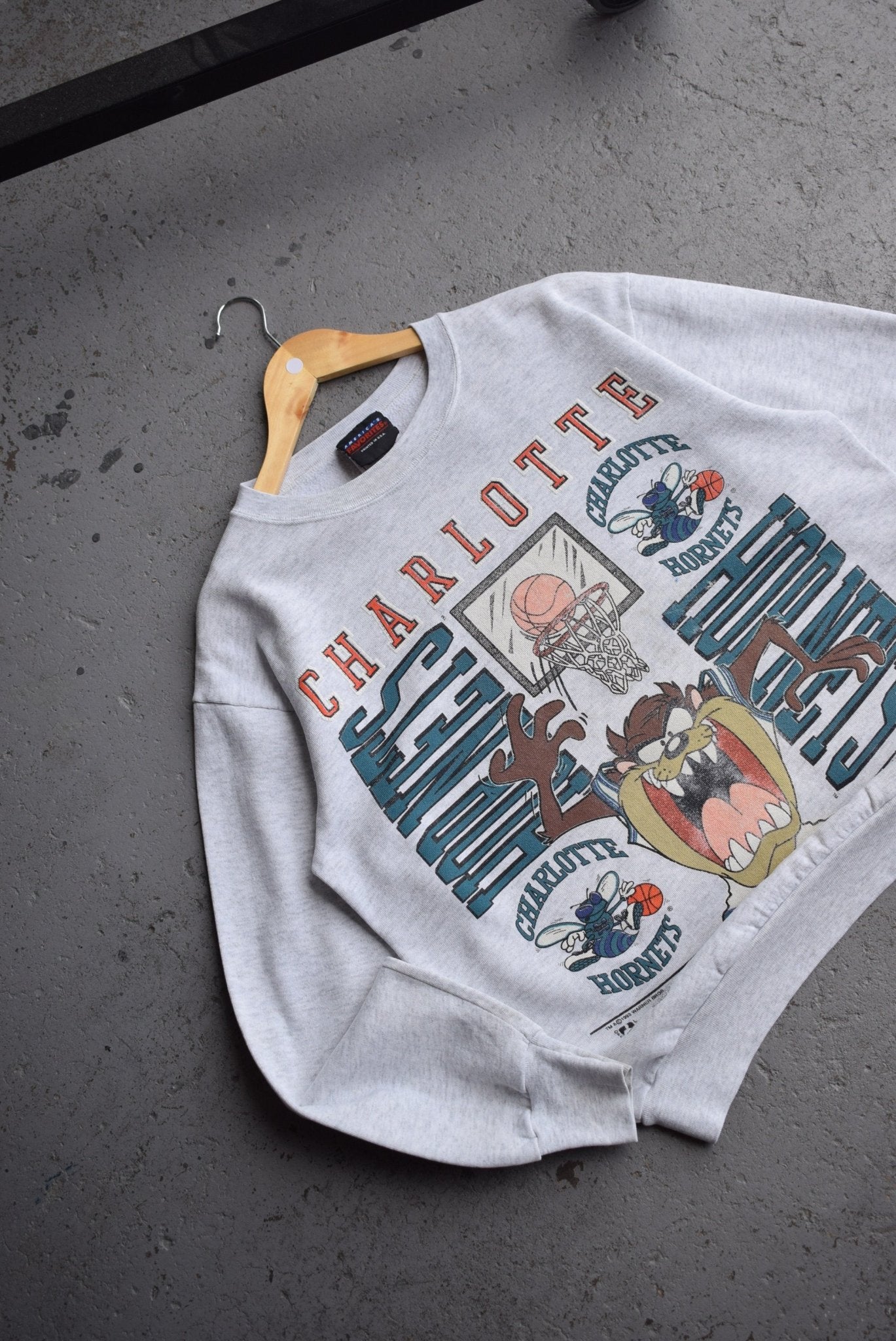 Vintage 1993 Warner Bros. x NBA Charlotte Hornets Crewneck (M) - Retrospective Store