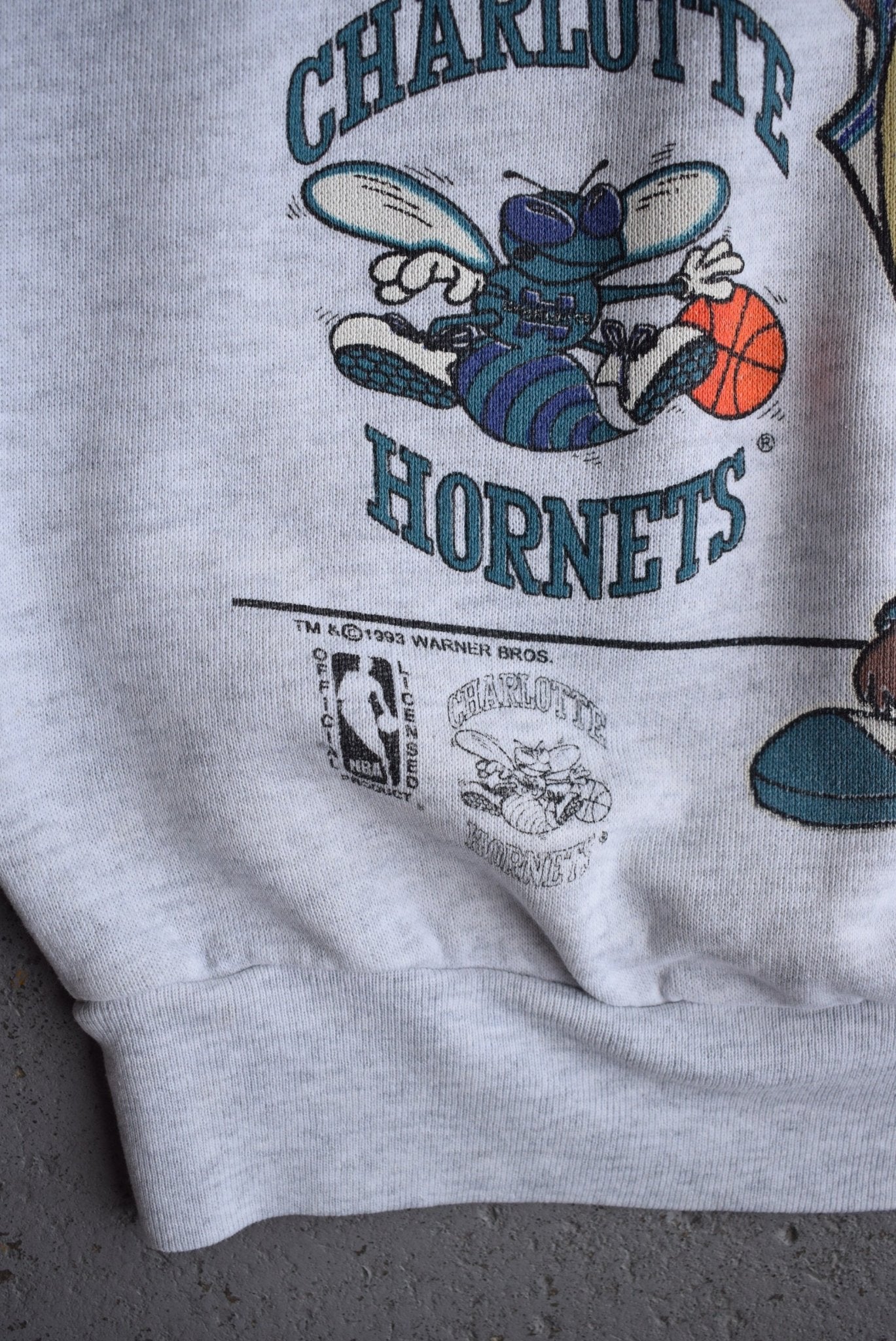 Vintage 1993 Warner Bros. x NBA Charlotte Hornets Crewneck (M) - Retrospective Store