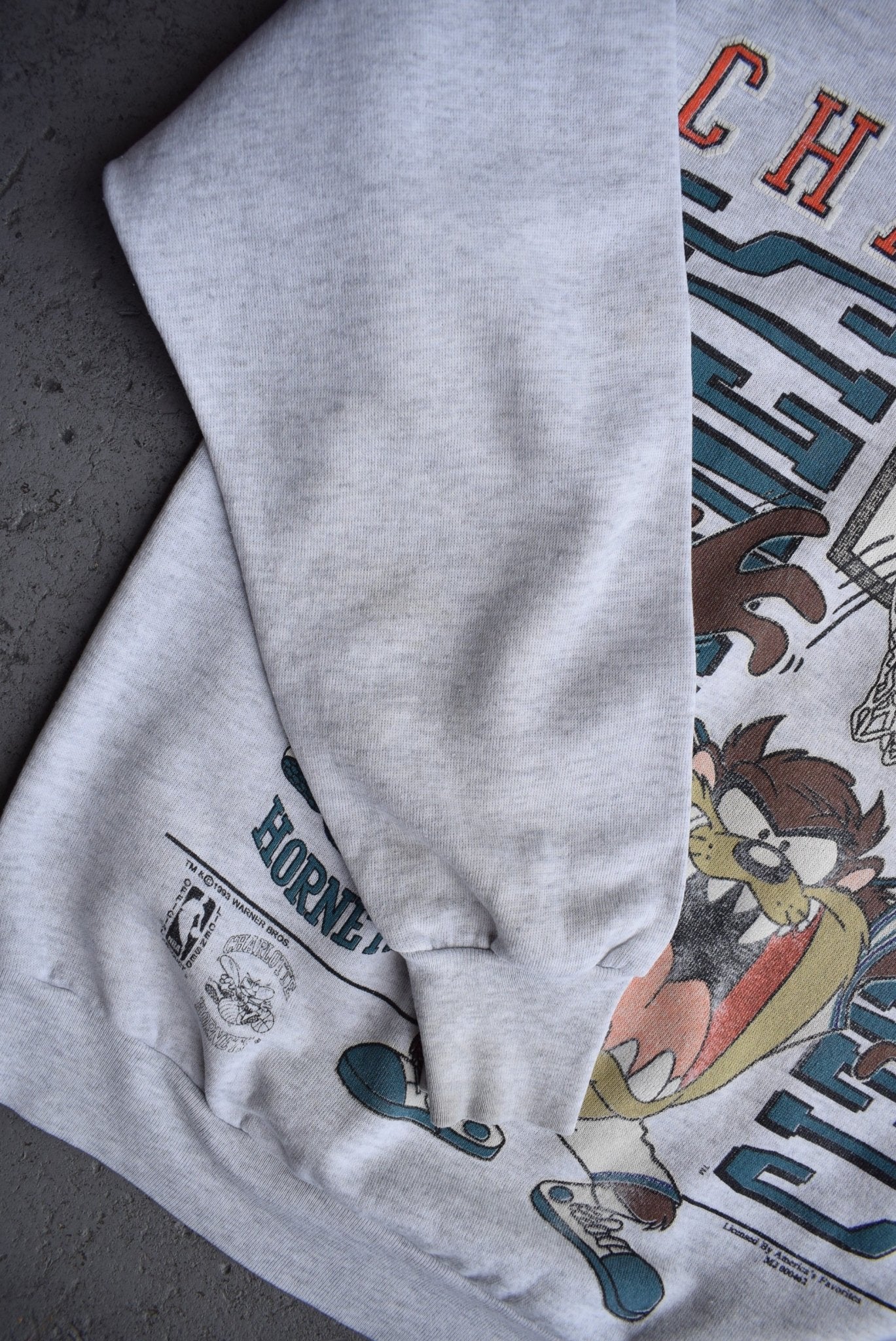 Vintage 1993 Warner Bros. x NBA Charlotte Hornets Crewneck (M) - Retrospective Store
