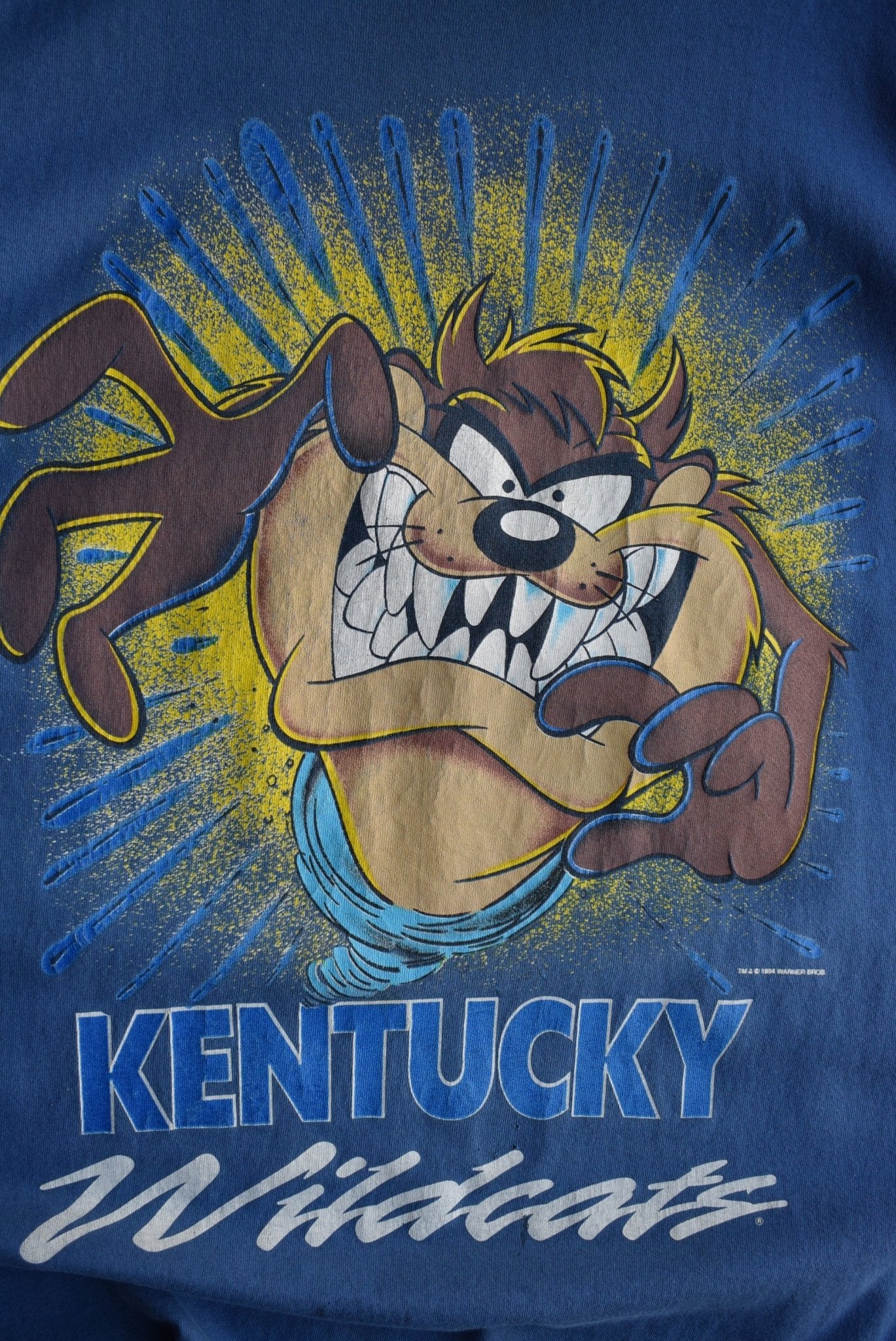 Vintage 1994 Warner Bros. x University of Kentucky Tee (XL) - Retrospective Store
