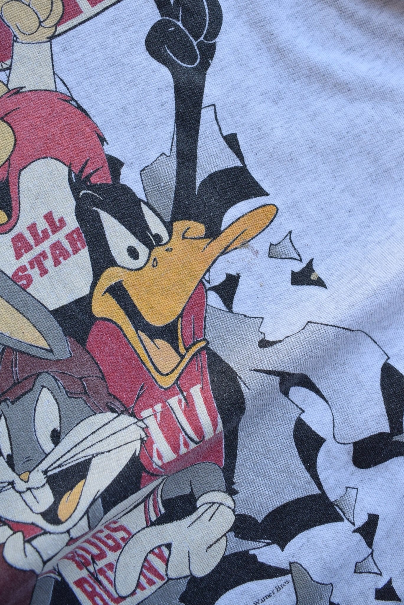 Vintage 1994 Warner Bros. x University of Wisconsin Football Tee (L/XL) - Retrospective Store