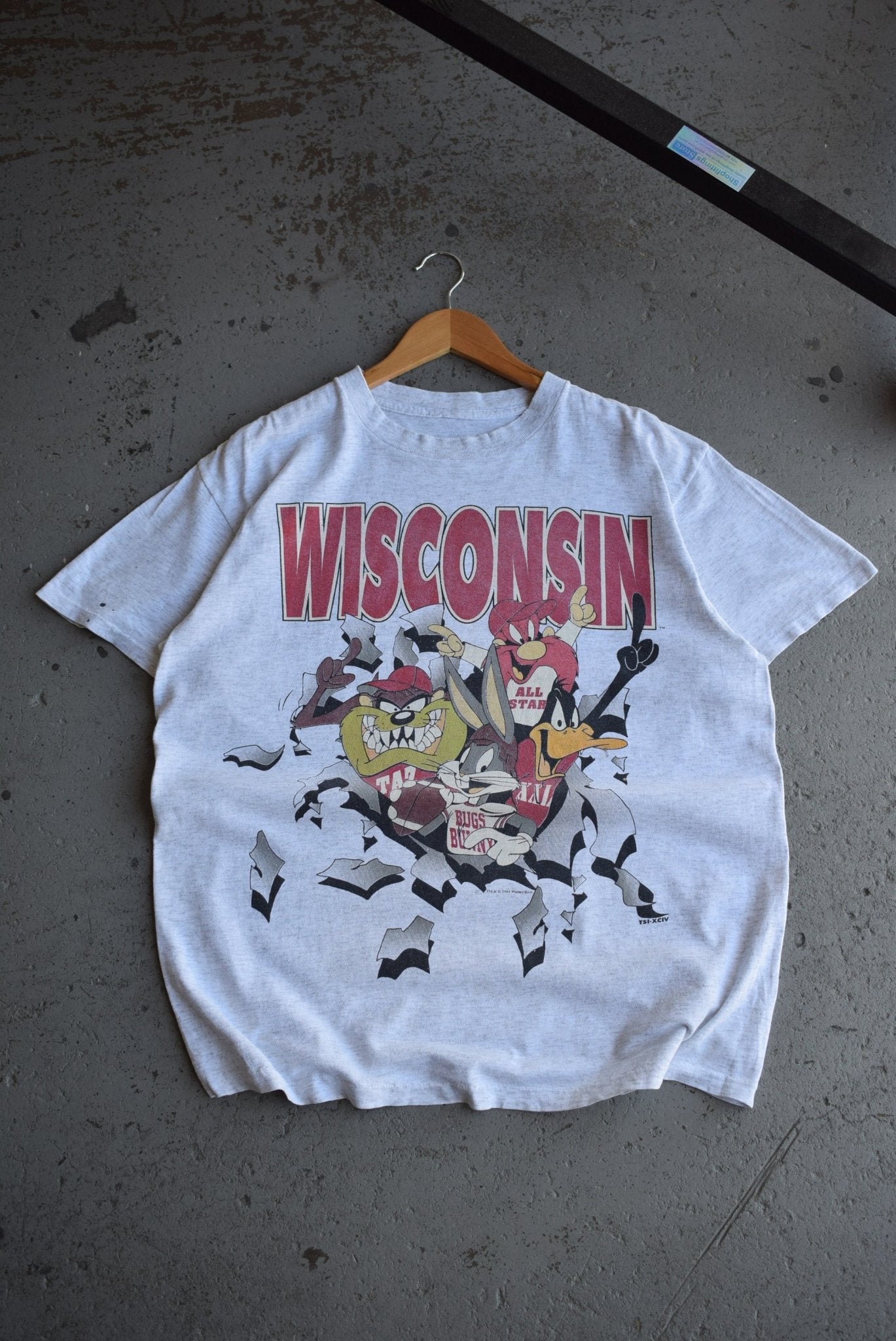 Vintage 1994 Warner Bros. x University of Wisconsin Football Tee (L/XL) - Retrospective Store