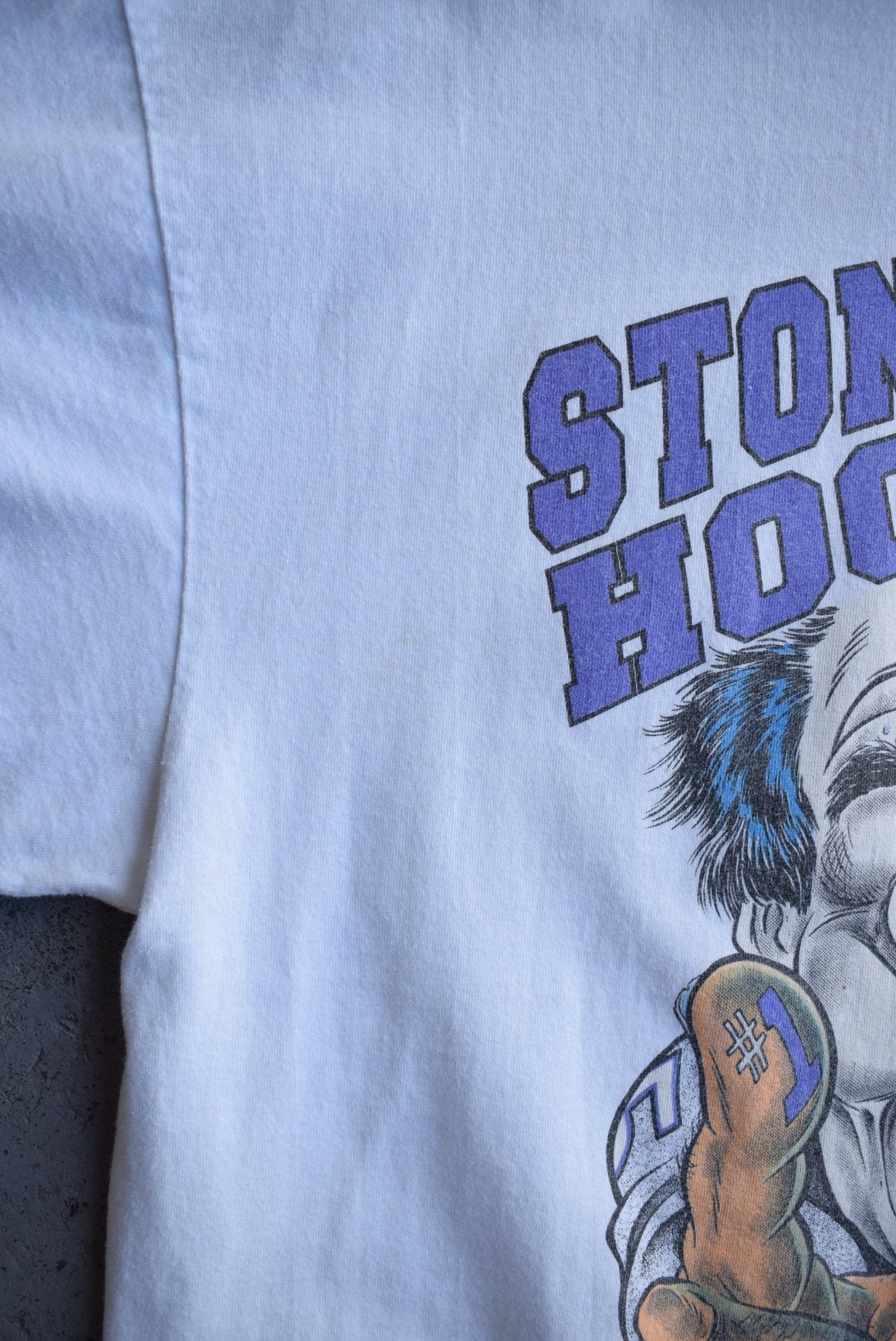 Vintage 1996 Stonehill Hockey Winter Tour Tee (L/XL) - Retrospective Store