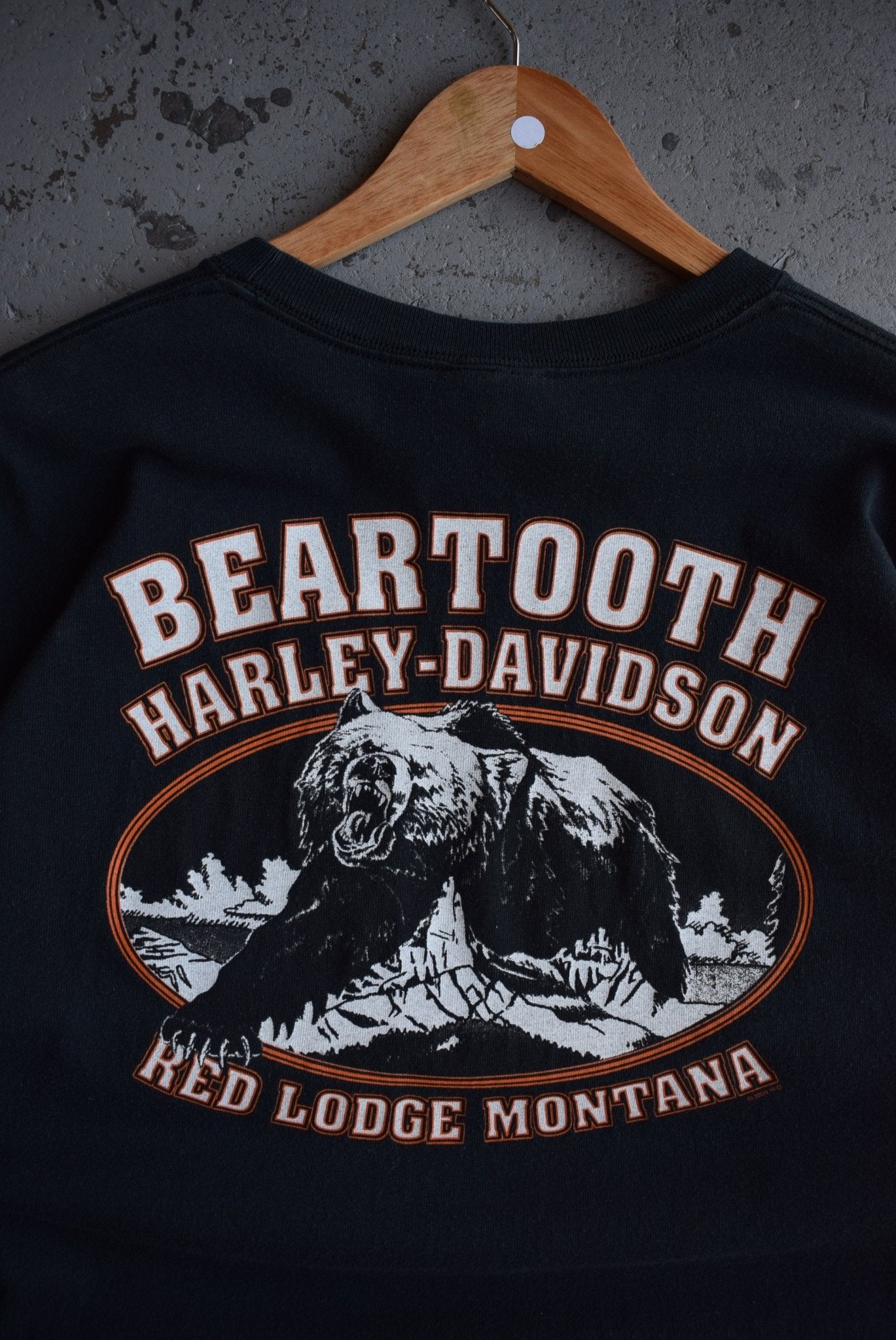 Vintage 2001 Harley Davidson Motorcycles Long Sleeve Tee (XL) - Retrospective Store