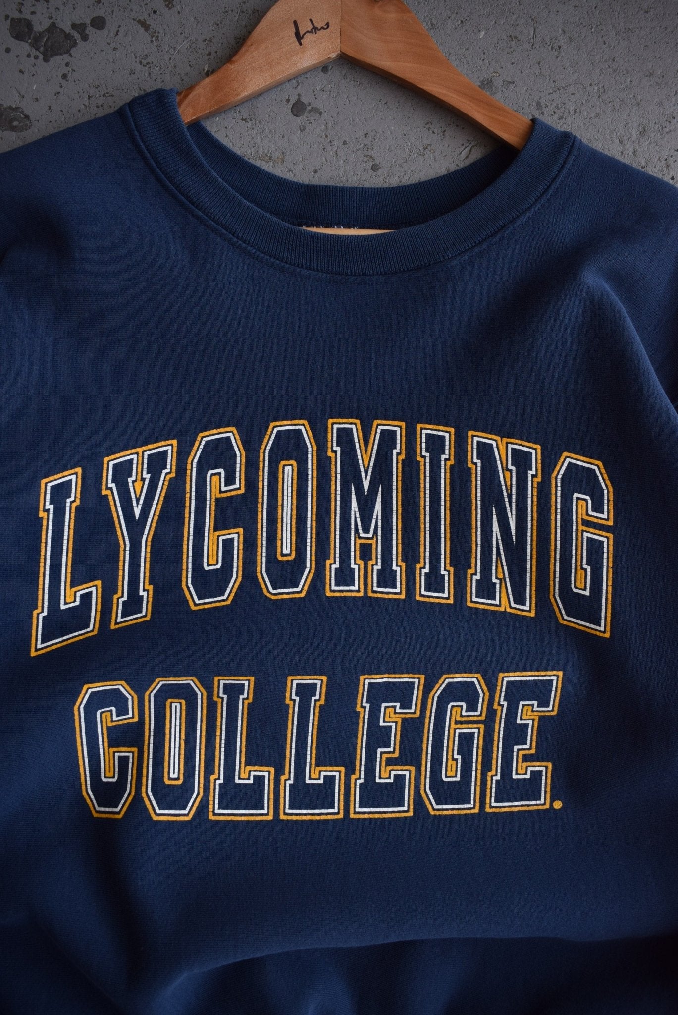 Vintage 90s Lycoming College Crewneck (M) - Retrospective Store
