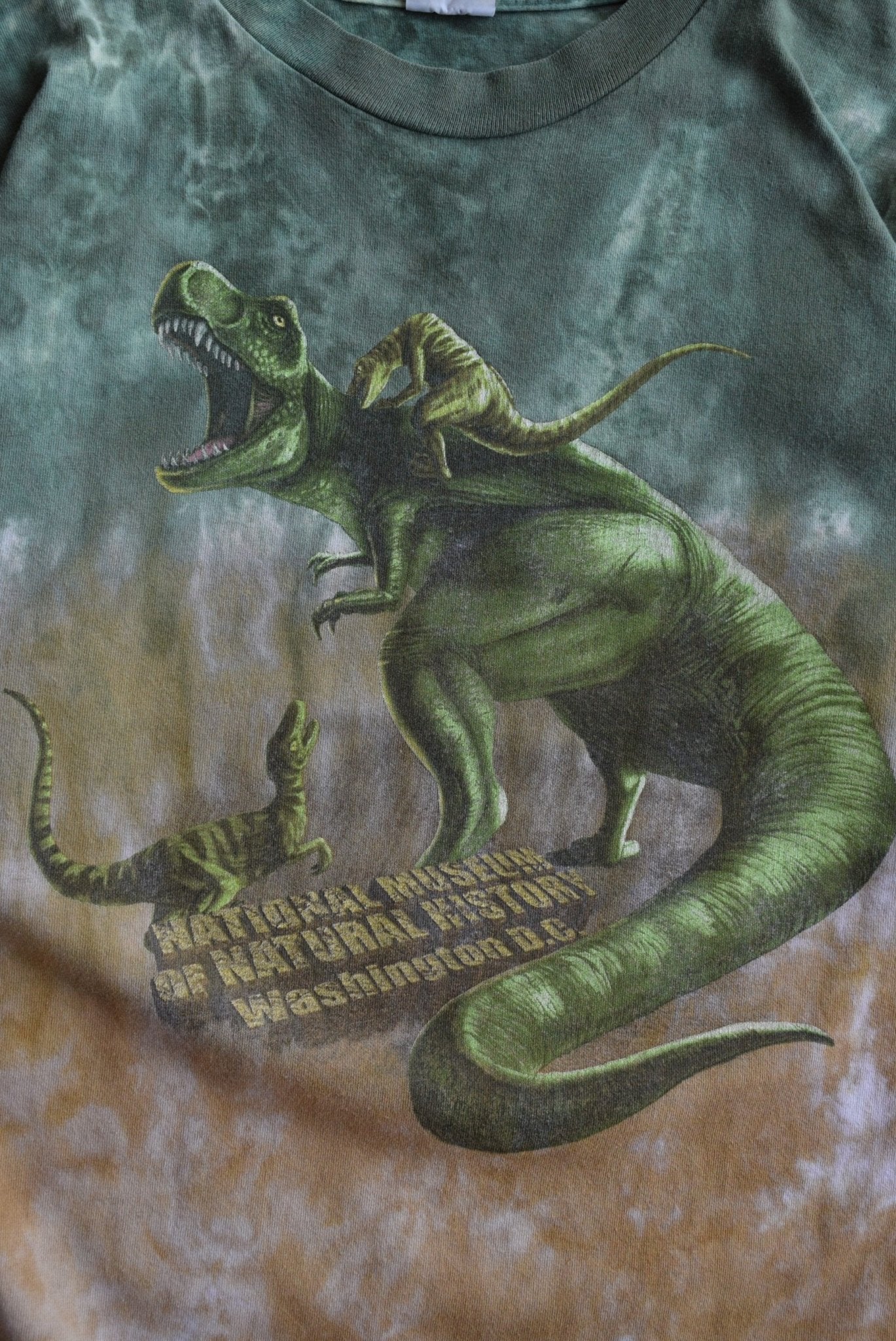 Vintage 90s National Museum of Natural History Tee (M) - Retrospective Store