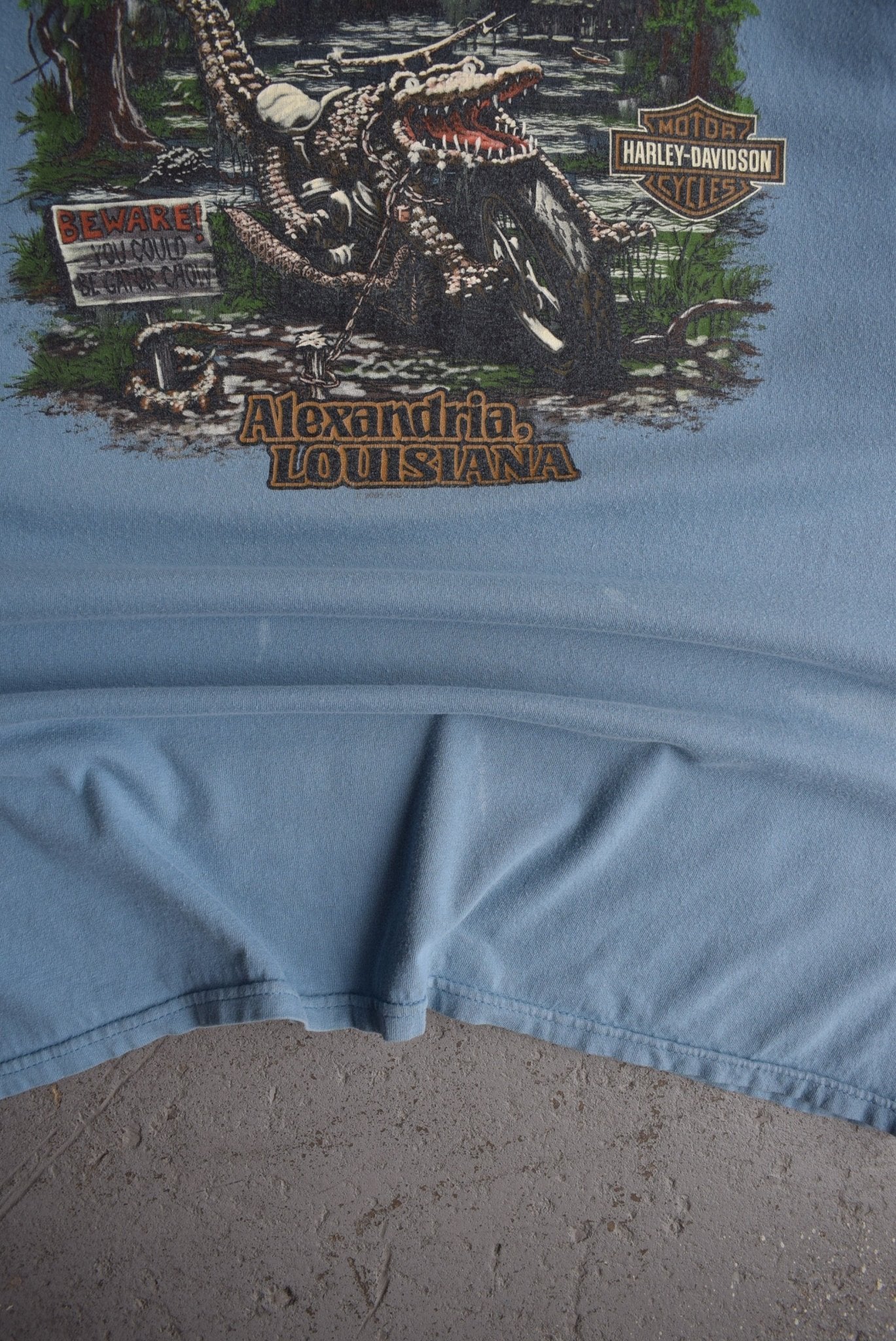 Vintage Harley Davidson 'Swamp Tours' Tee (XXL) - Retrospective Store