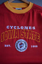 Vintage LEE Sports x Iowa State University Embroidered Crewneck (XXL) - Retrospective Store