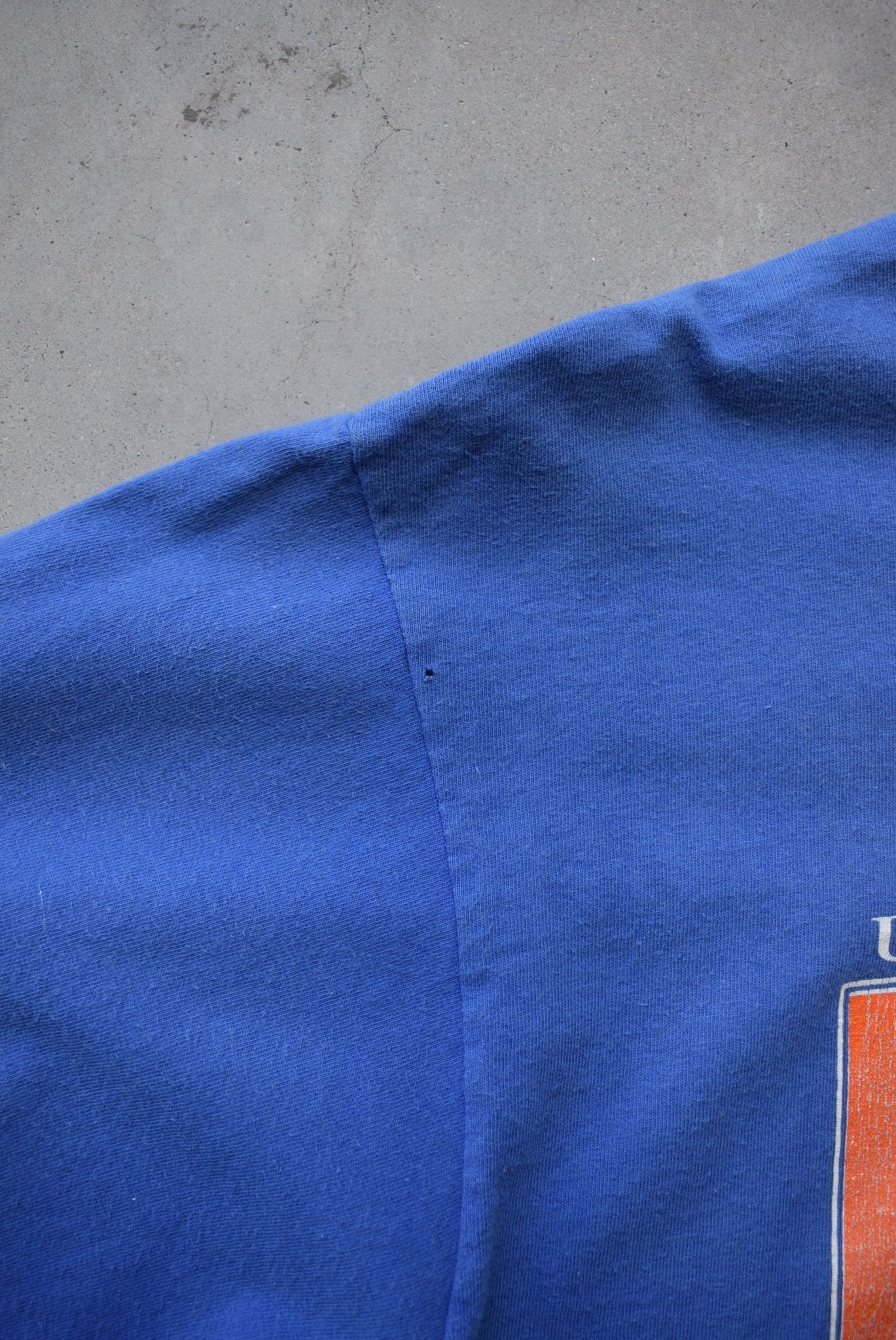 Warner Bros. x University of Florida Blue Graphic Tee — 1993 (M) - Retrospective Store
