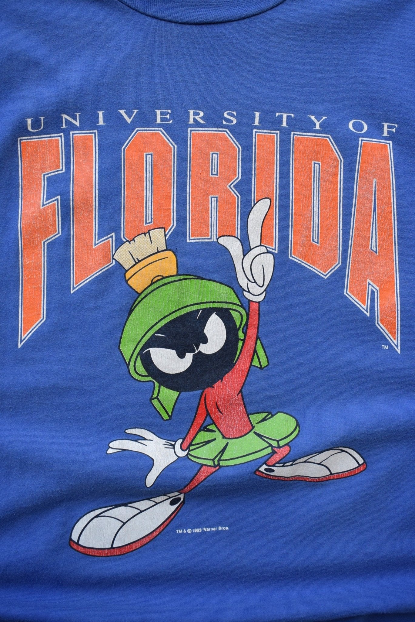 Warner Bros. x University of Florida Blue Graphic Tee — 1993 (M) - Retrospective Store